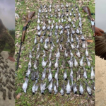 تفكيك أحد أكبر مواقع صيد الطيور في العبدة