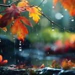 طقسٌ خريفيّ مستقرّ.. مع بعض التقلّبات