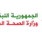 حصيلة الغارة الاسرائيلية على الحفير