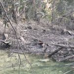 أضرار جسيمة على ضفاف الليطاني بعد غارات طيرفلسيه