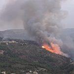 صورٌ لما بعد حريق عاراي- بكاسين