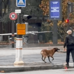 إخلاء وتوقف البث.. إنذار بوجود قنبلة أمام محطة تلفزيونية فرنسية