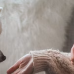 خصّص زاوية في منزلك لتنفصل عن العالم الخارجي… كيف تطبّق الـCozymaxxing؟