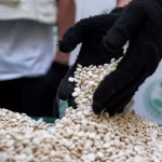 اللحظة التي ارتجفت فيها الدويلة: لماذا بدأ تفكيك إمبراطورية المخدرات الآن؟