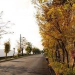 تقلّباتٌ في الطقس، واحتمال حدوث برق ورعد