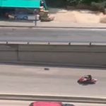 بالفيديو- مشهدٌ لا تصادفونه يوميّاً… أو بالأحرى لن تشاهدوا مثله في حياتكم كلّها