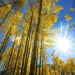 ميني صيفيّة في تشرين: الحرارة 30