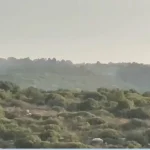 4 قذائف ضوئية على كرم زيتون بين مارون الراس وعيترون