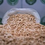 عملية مشتركة بين لبنان والسعودية تحبط تهريب سبعة ملايين حبة كبتاغون