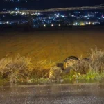 انقلاب سيارة واصابة امرأة في تعنايل