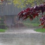 بداية “مُبشّرة” لكانون… استعدّوا لأيّامٍ من الأمطار