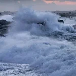 بالفيديو- مشهد من بحر جونية