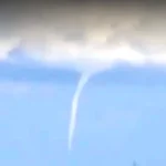 بالفيديو- ظهور تنين البحر قبالة شواطئ جبيل