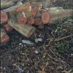 مخزن من نوع آخر في الجنوب… وقوى الأمن تتحرّك