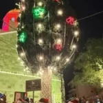 مغدوشة أضاءت شجرة الميلاد