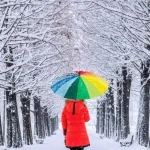 منخفض بارد وعاصف، وثلوج على ارتفاع 1800 متر