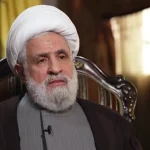 قاسم: نزع السلاح مشروع أميركي-إسرائيلي ولن نستسلم