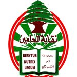 نقابة المحامين: الانتخابات النيابية محطة دستورية لا يمكن التلاعب بمصيرها