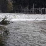 بالفيديو- تنظيف مجرى نهر الليطاني