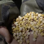 بالتعاون مع السعوديّة… عمليّة أمنيّة لضبط معمل كبتاغون