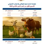 منعاً للتلاعب.. إليكم أسعار اللحوم والخضار والفاكهة!