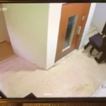 عامل ديلفري يقتل مواطنا في منطقة جسر الباشا