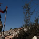 رعاة الجنوب في مرمى المسيّرات.. لقمة العيش مغموسة بالخطر