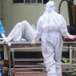 فيروس نيباه يثير القلق… هل نحن أمام وباء محتمل؟