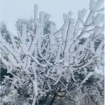 منخفض جوي في لبنان على مرحلتين… حرارة متقلّبة وأمطار متفرقة!