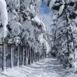 حذر وجهوزيّة تامّة… هكذا ستواجَه العاصفة