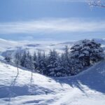 يالفيديو – تساقط الثلوج على طريق ضهر البيدر الآن