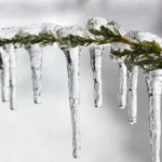 عاصفة قطبيّة تضرب لبنان… إستعدّوا للبرد القارس