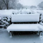 العاصفة انحسرت… وهذا موعد تجدد الامطار!