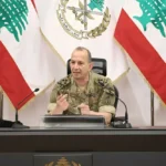 سبل دعم الجيش وتطورات الجنوب بين هيكل والوزير القطري