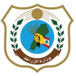 منتجات شبيهة بالألبان تُصنّع بالزيوت النباتية