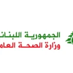 بين المنصوري وميفدون، إليكم حصيلة الغارات