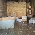 ضبط 20 طن ثوم فاسد في البقاع