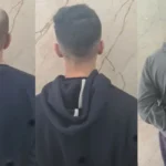 توقيف عصابة في كترمايا تقوم بإجراء وكالات مزوّرة باسم كاتب عدل وهمي لبيع وشراء سيارات