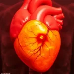 عادات يومية تدمر قلبك بصمت.. خبراء يطلقون التحذير