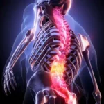 كيف تحمي العمود الفقري أثناء الجلوس؟