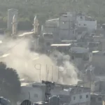 معلومات جديدة عن عدد ضحايا غارة عين الحلوة