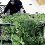 تطمينات مقابل أسعار مرشّحة للاشتعال: سلّة الصيام تحت المجهر