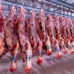 إقفال مستودع لحوم في صور وضبط 150 كلغ فاسدة