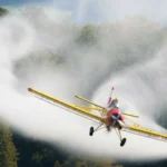 مخطّط المبيدات الإسرائيلي… منطقة عازلة بلا حياة