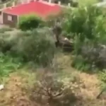 غارة عنيفة استهدفت الضاحية