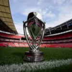 إلغاء مواجهة «فيناليسيما» بين إسبانيا والأرجنتين