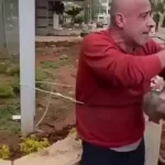 فيديو متداول يُظهر ضبط أحد الأشخاص أثناء محاولته السرقة من مبانٍ في حي الأميركان