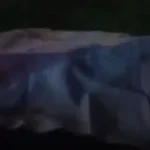 معلومات اولية عن جثة الـ”كاب سور فيل”