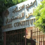مشلب: المجلس الدستوري لم يتعدَّ على صلاحيات مجلس النواب في قانون العفو العام